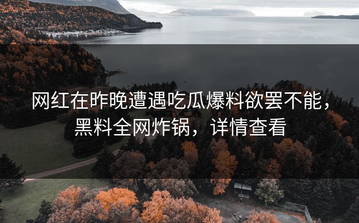 网红在昨晚遭遇吃瓜爆料欲罢不能，黑料全网炸锅，详情查看