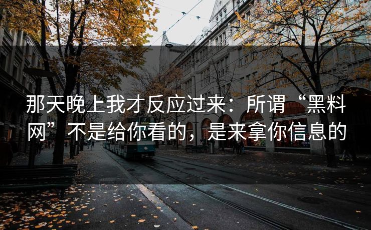 那天晚上我才反应过来：所谓“黑料网”不是给你看的，是来拿你信息的