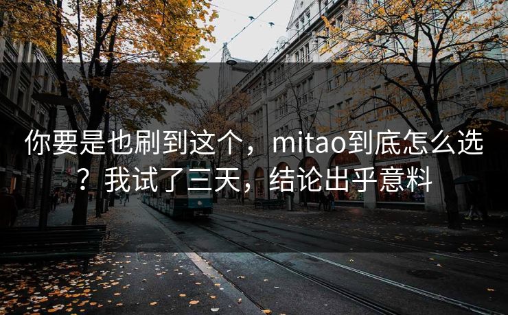 你要是也刷到这个，mitao到底怎么选？我试了三天，结论出乎意料