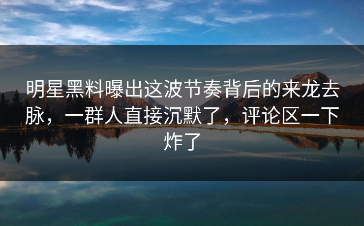 明星黑料曝出这波节奏背后的来龙去脉，一群人直接沉默了，评论区一下炸了